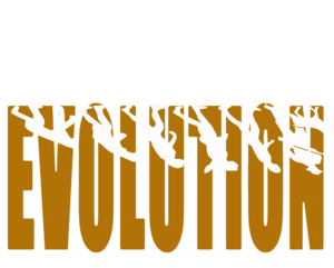 Evolution fehér